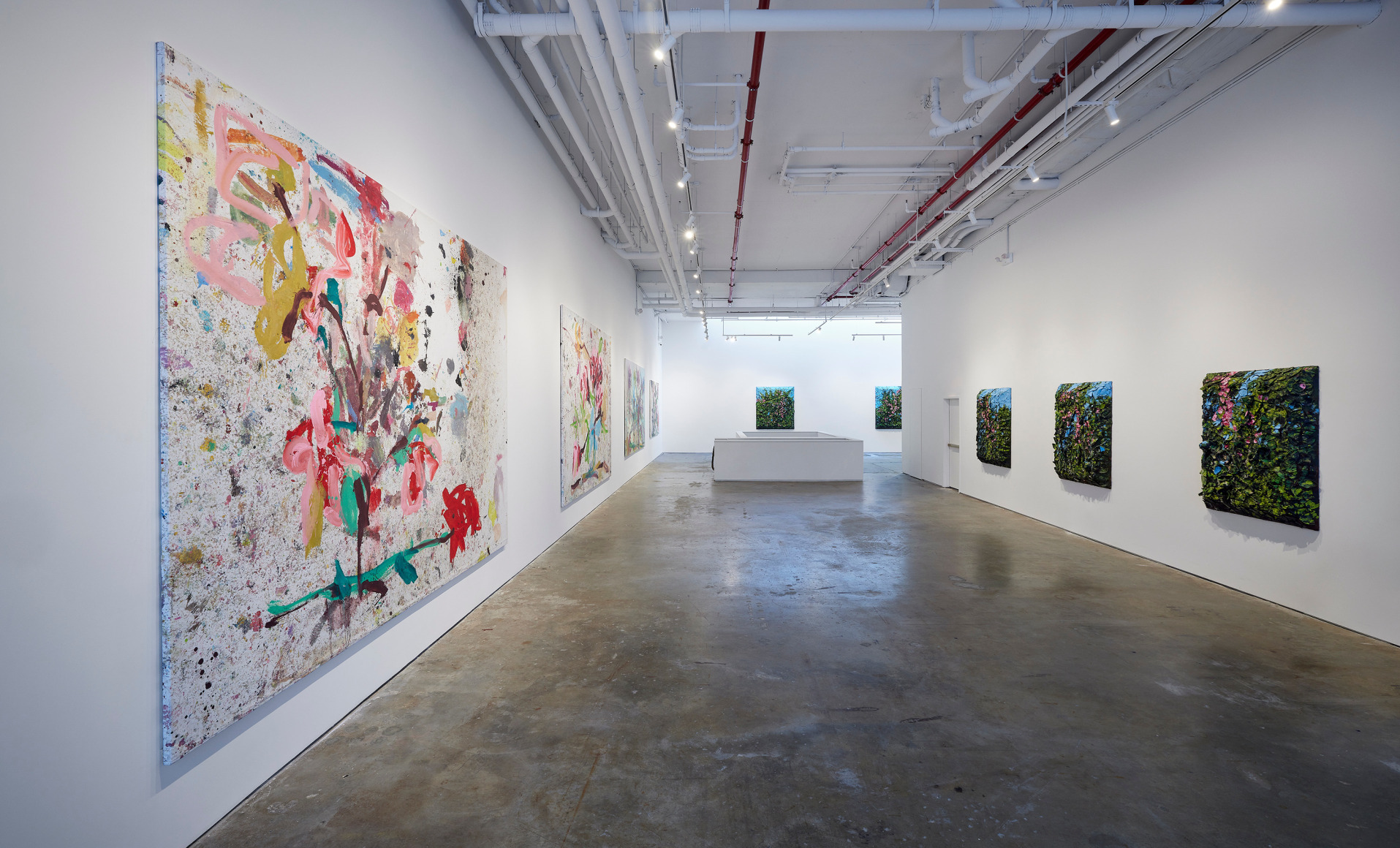 An installation view of Jorge Galindo and Julian Schnabel's exhibition Flower Paintings
