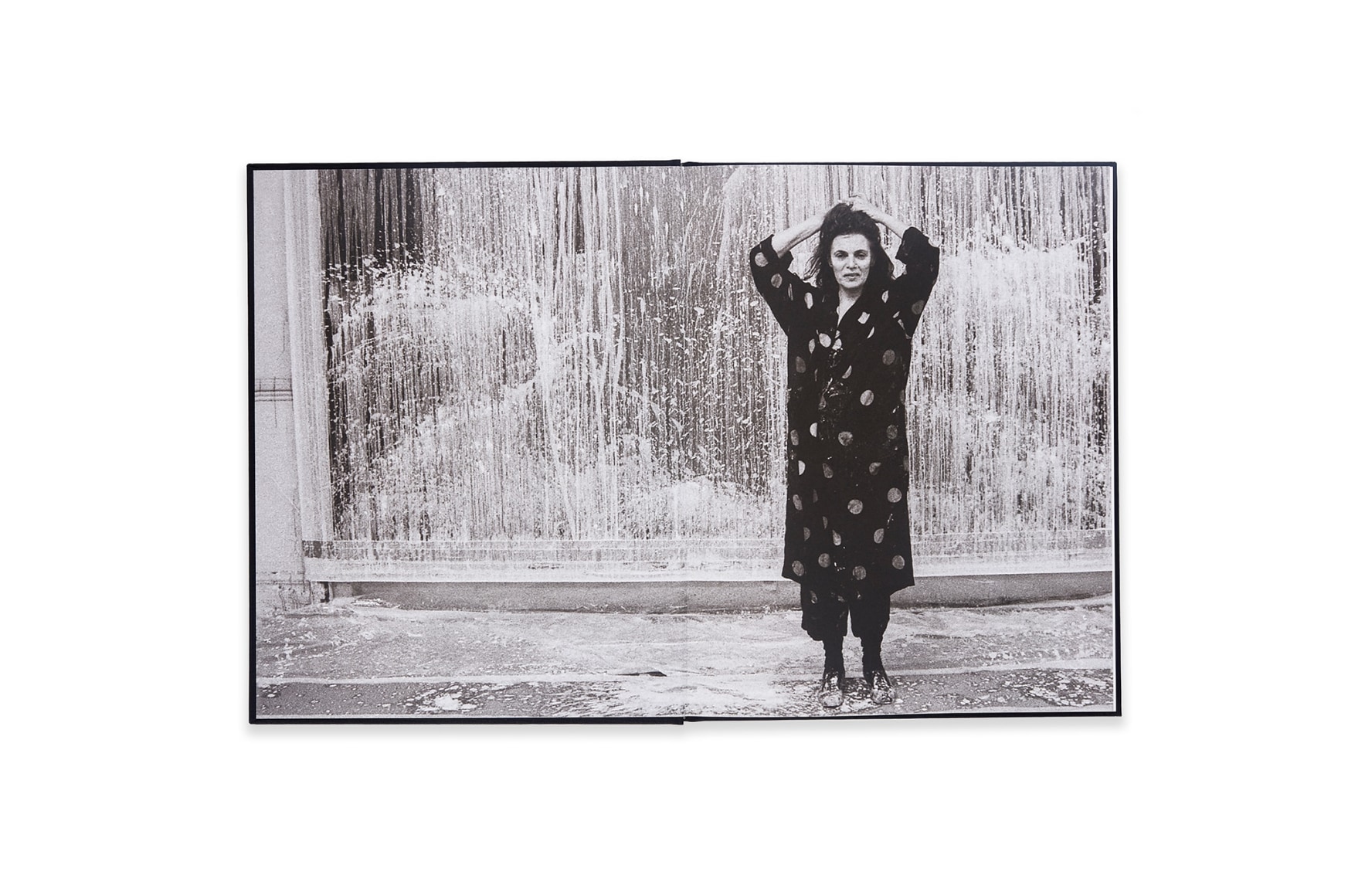 Image of Pat Steir: Paintings Catalogue spread