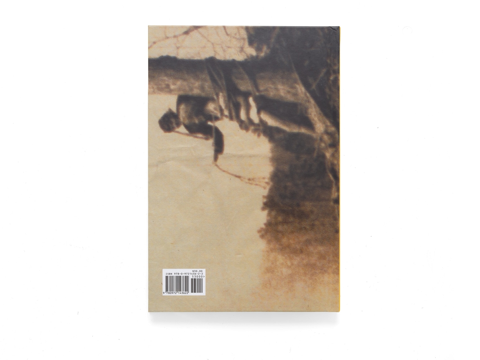 Book back cover of Remember Me by &quot;Lola Schnabel&quot;