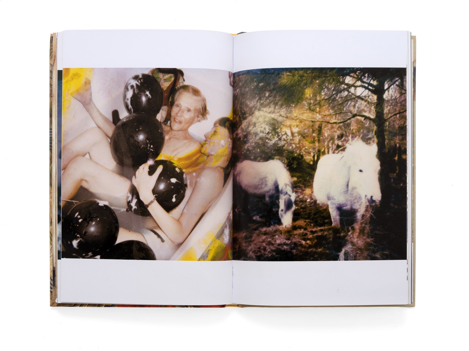 Two-page spread from Remember Me by Lola Montes Schnabel featuring painting and photography
