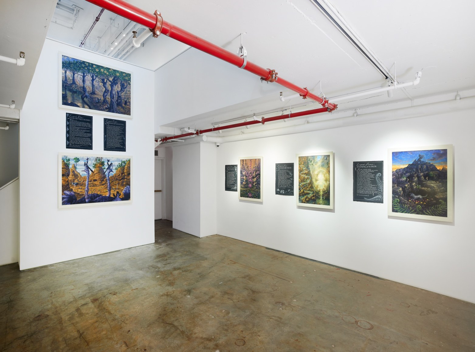 Installation image of drawings by Thomas Woodruff