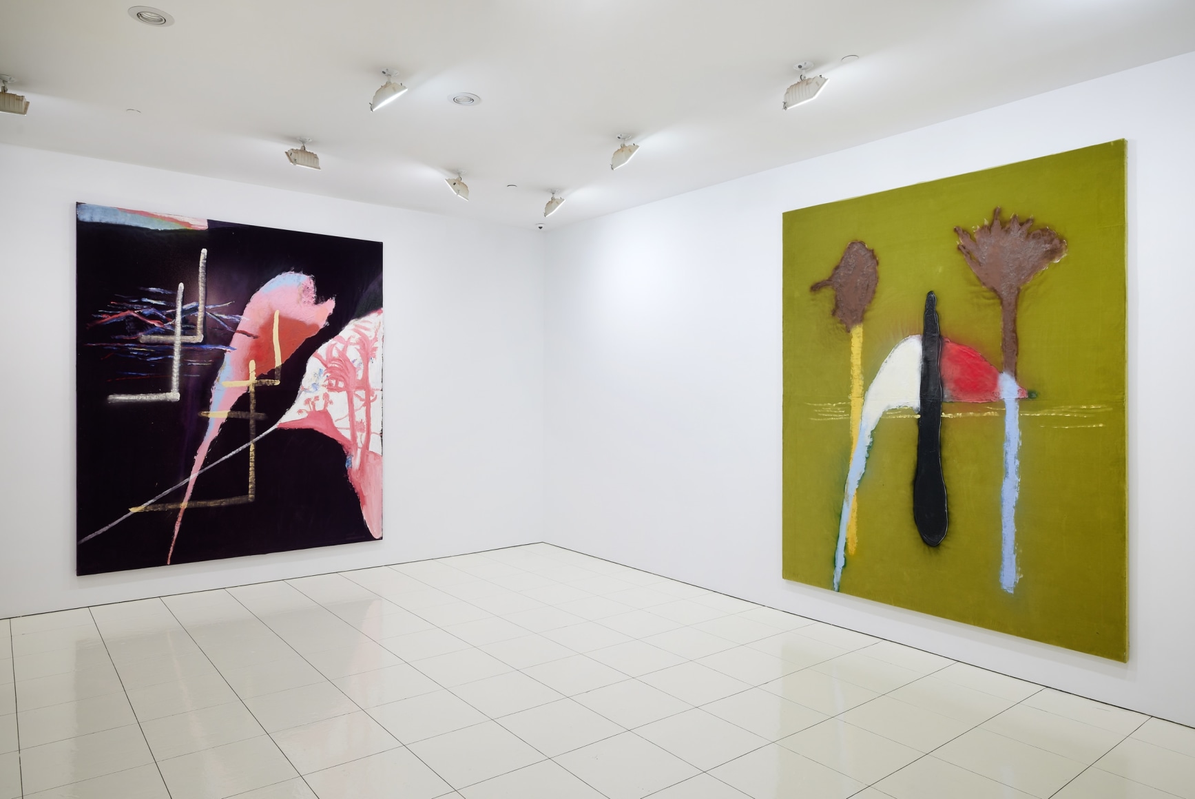 Installation view, Julian Schnabel: Predominately Natural Forms, Mexico, 2022;  Artworks © Julian Schnabel; Photo by Argenis Apolinario; Courtesy the artist and Vito Schnabel Gallery