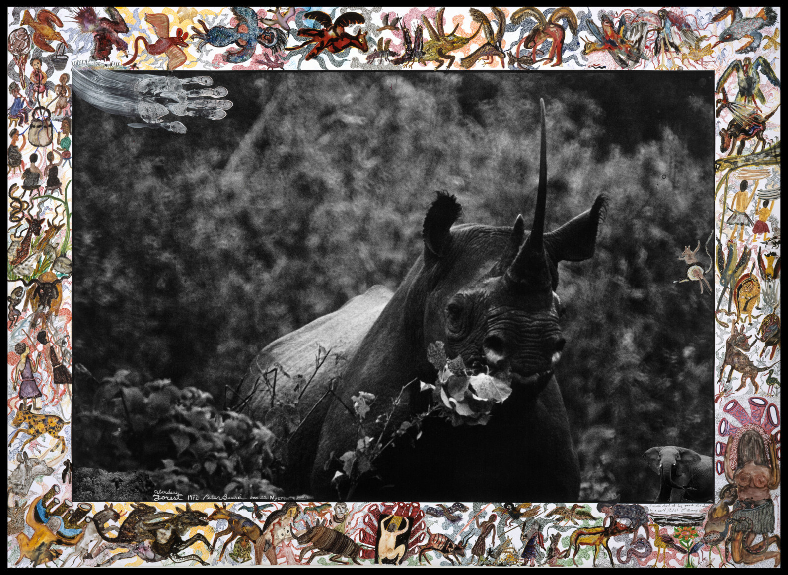 Peter Beard Primordial Truths Curated by Robert Storr Exhibitions
