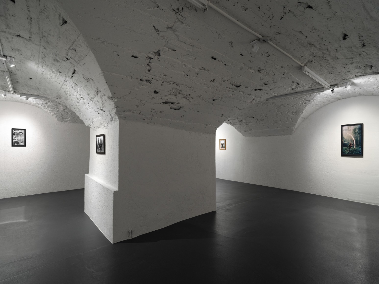 Installation view, Peter Beard: Primordial Truths, curated by Robert Storr, Vito Schnabel Gallery, St. Moritz, 2024; Artworks&nbsp;&copy; The Estate of Peter Beard; Photo by Stefan Altenburger; Courtesy of the Estate of Peter Beard / Art and Commerce