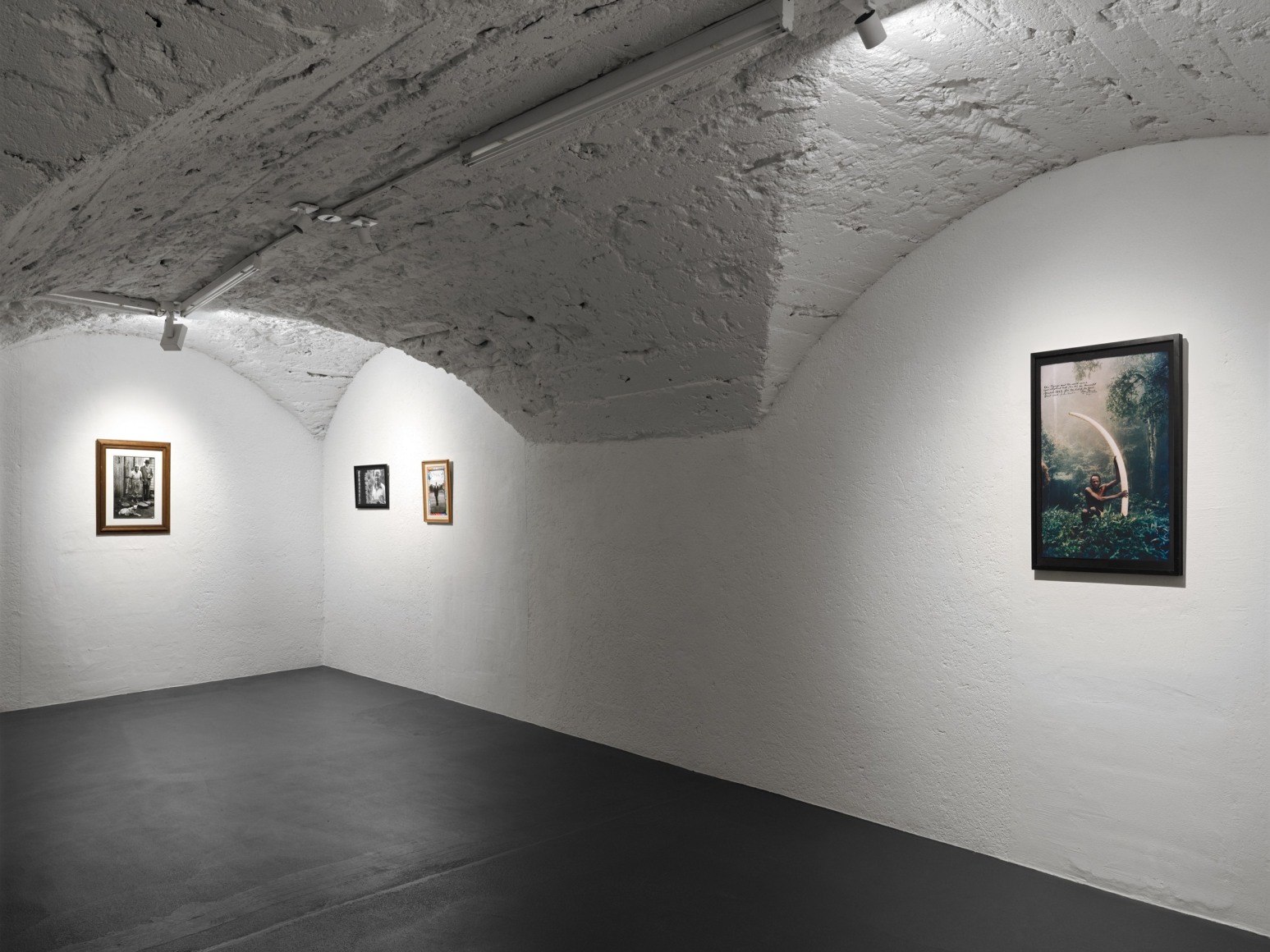 Installation view, Peter Beard: Primordial Truths, curated by Robert Storr, Vito Schnabel Gallery, St. Moritz, 2024; Artworks&nbsp;&copy; The Estate of Peter Beard; Photo by Stefan Altenburger; Courtesy of the Estate of Peter Beard / Art and Commerce