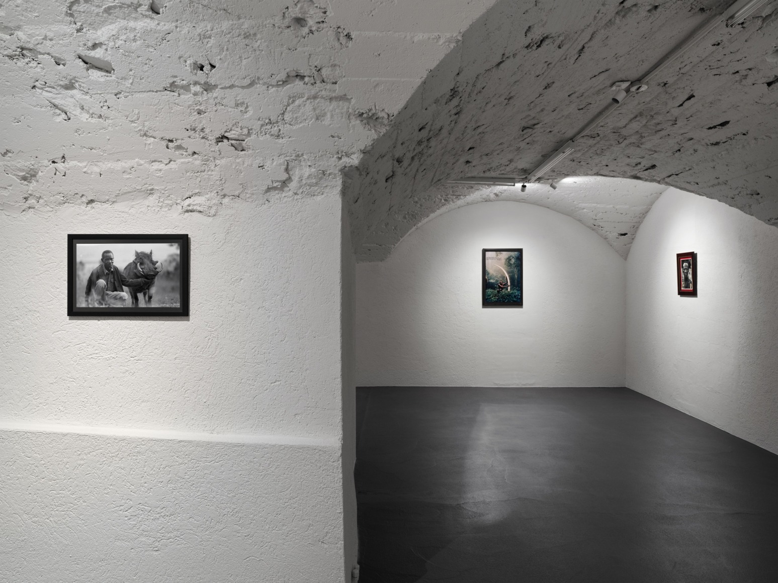 Installation view, Peter Beard: Primordial Truths, curated by Robert Storr, Vito Schnabel Gallery, St. Moritz, 2024; Artworks&nbsp;&copy; The Estate of Peter Beard; Photo by Stefan Altenburger; Courtesy of the Estate of Peter Beard / Art and Commerce