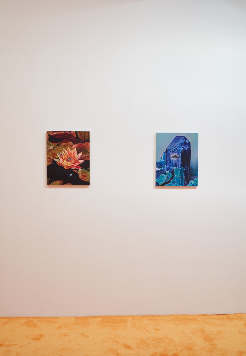 Installation view: Ariana Papademetropoulos: Unweave a Rainbow