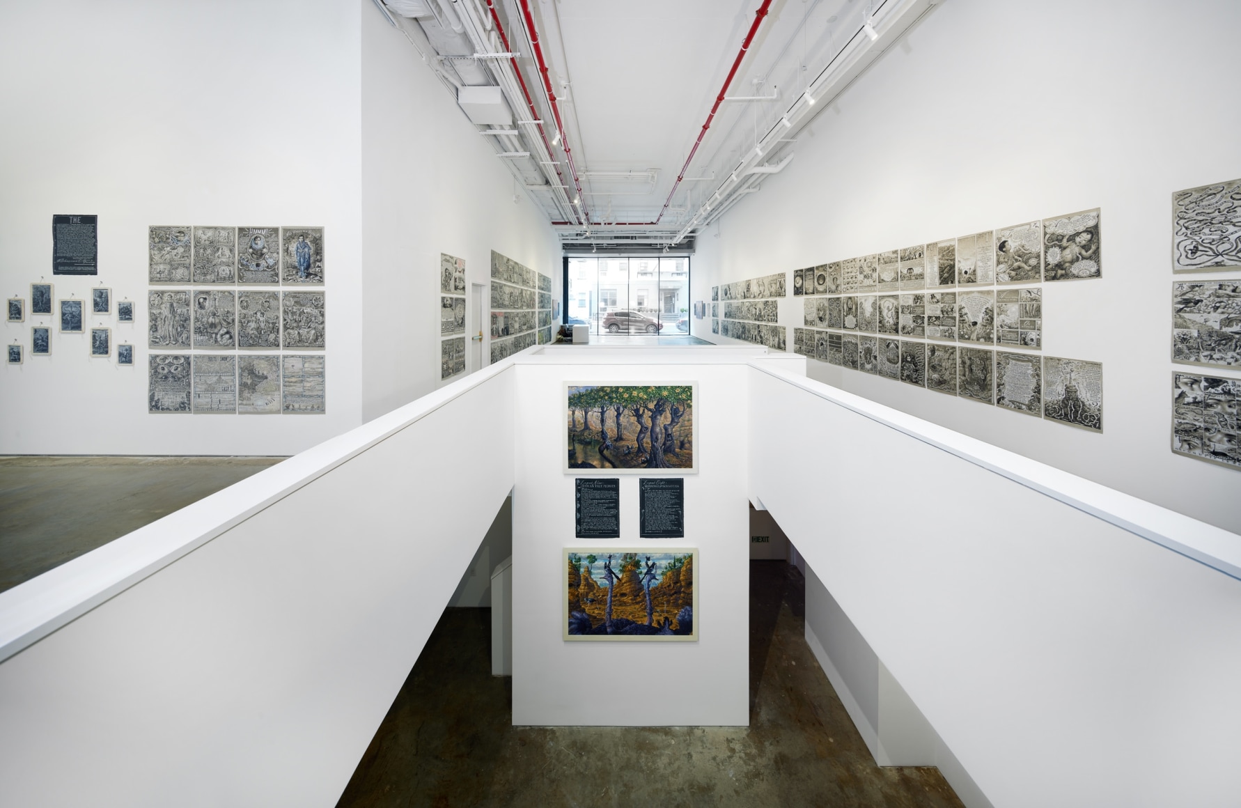 Installation image of drawings by Thomas Woodruff