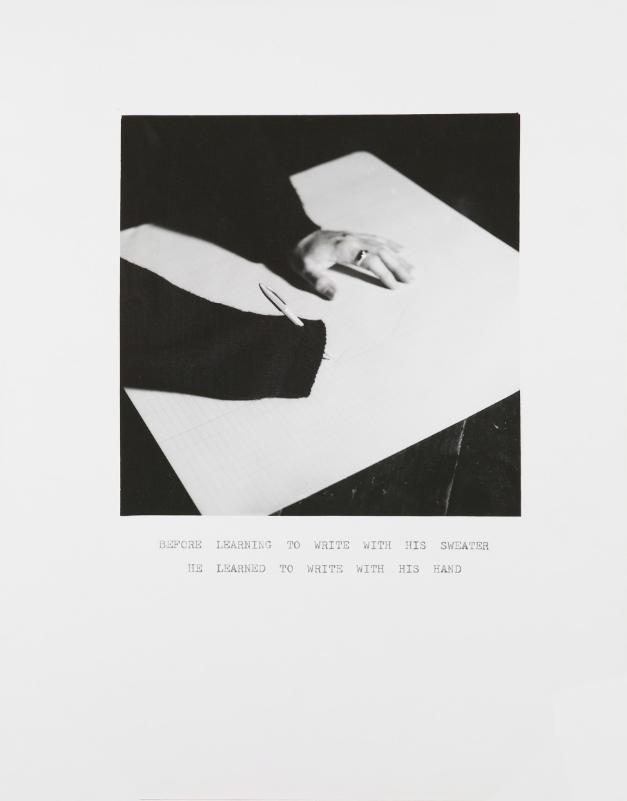 William Wegman,&nbsp;Sweater Wiring, 1972.