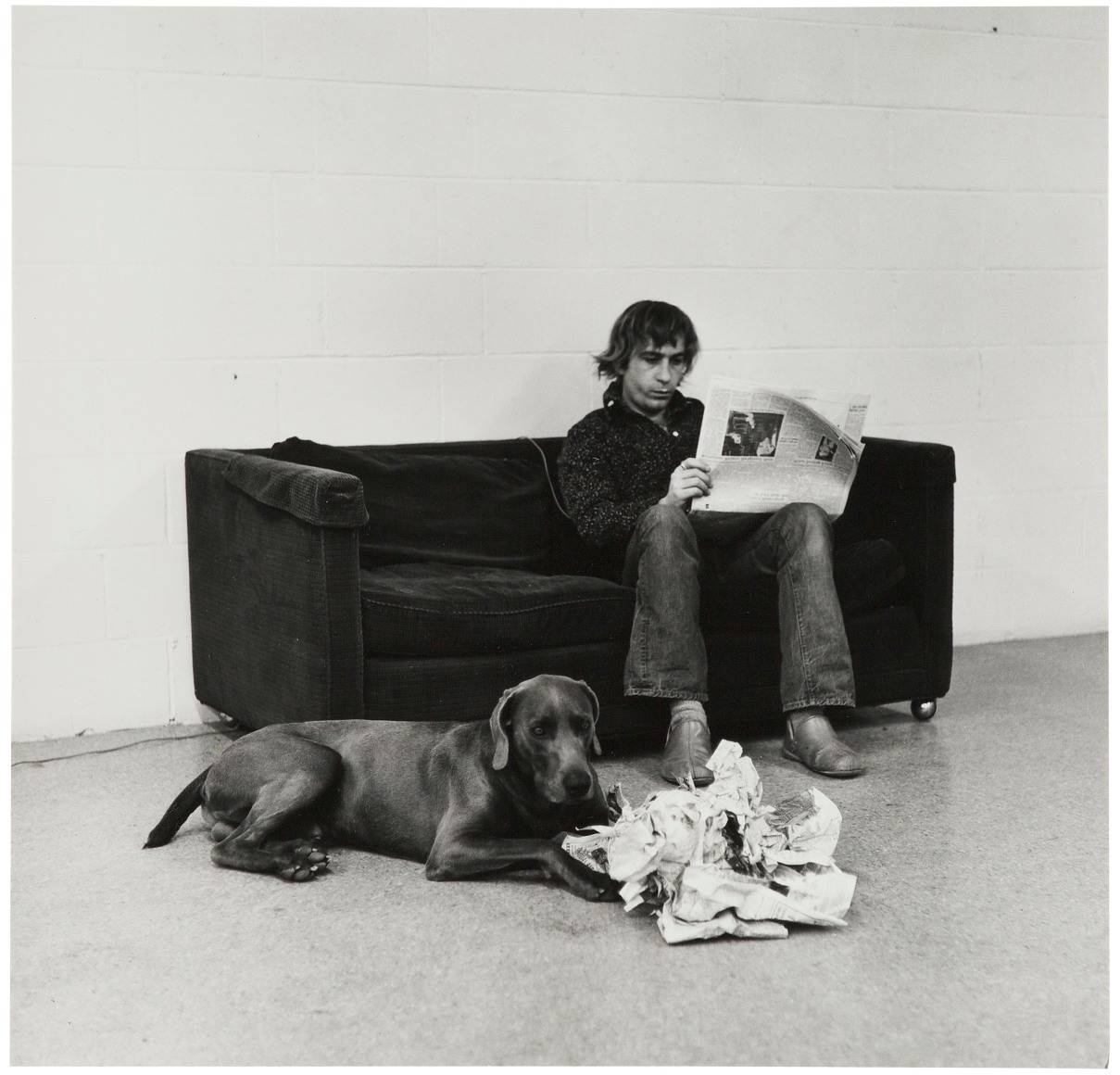William Wegman,&nbsp;How They are Toward Newspapers, 1973.
