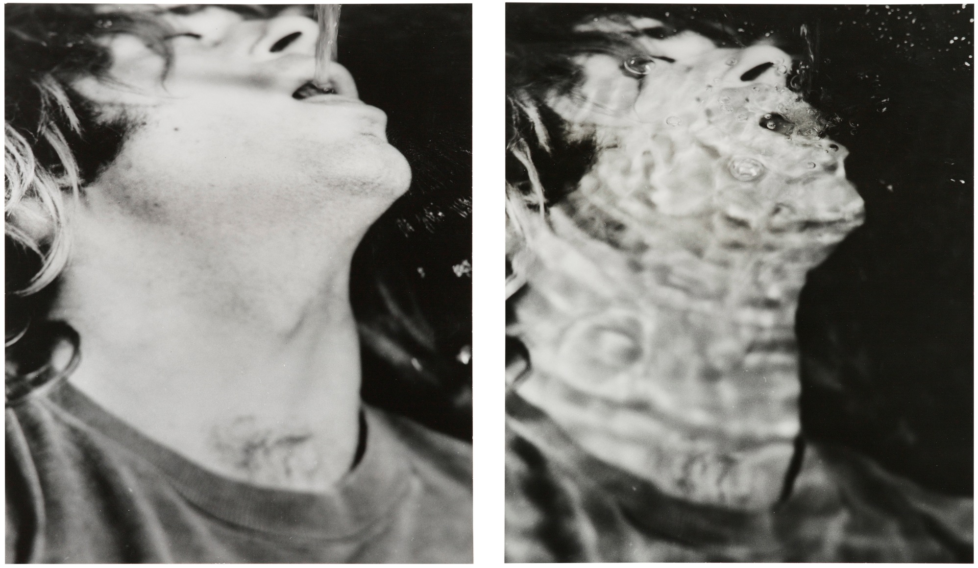 William Wegman,&nbsp;Photo Under Water, 1971.