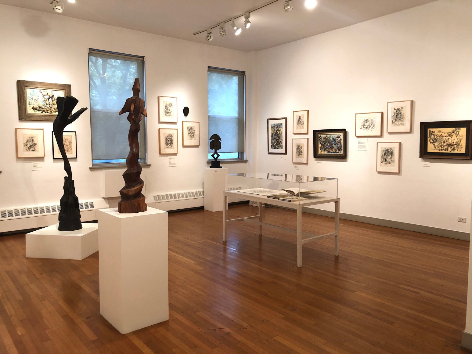 Hands Cannot Hold: Fantasy Drawings by Chaim Gross