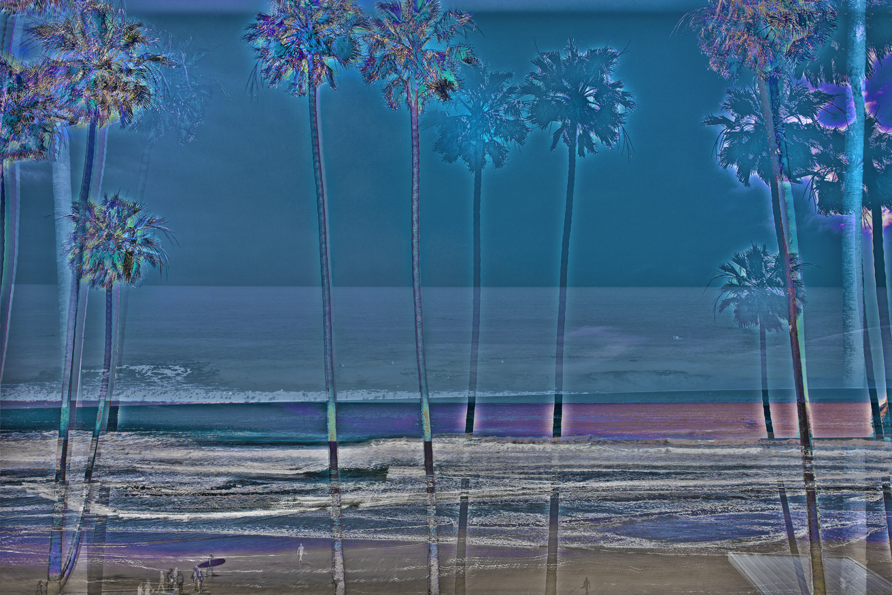 PAXTON_La-Jolla-Palms-2284_40x60_sW