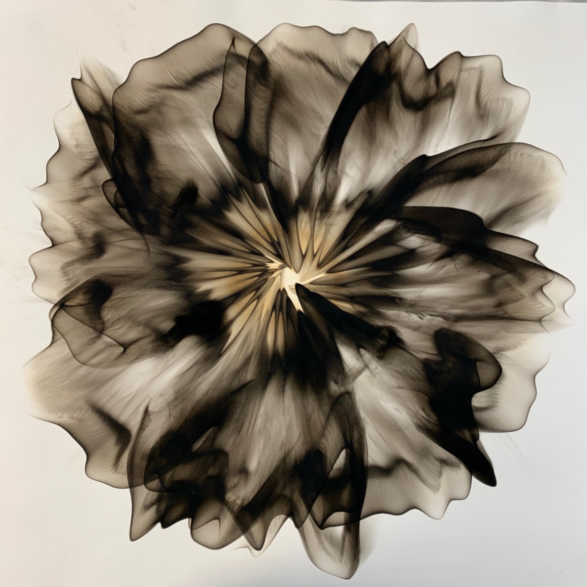 Mitchell-Dennis_smoke on paper_30x30 inches