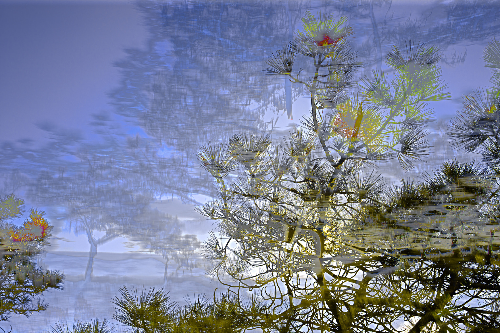 PAXTON_Torrey-Pines-726_sW