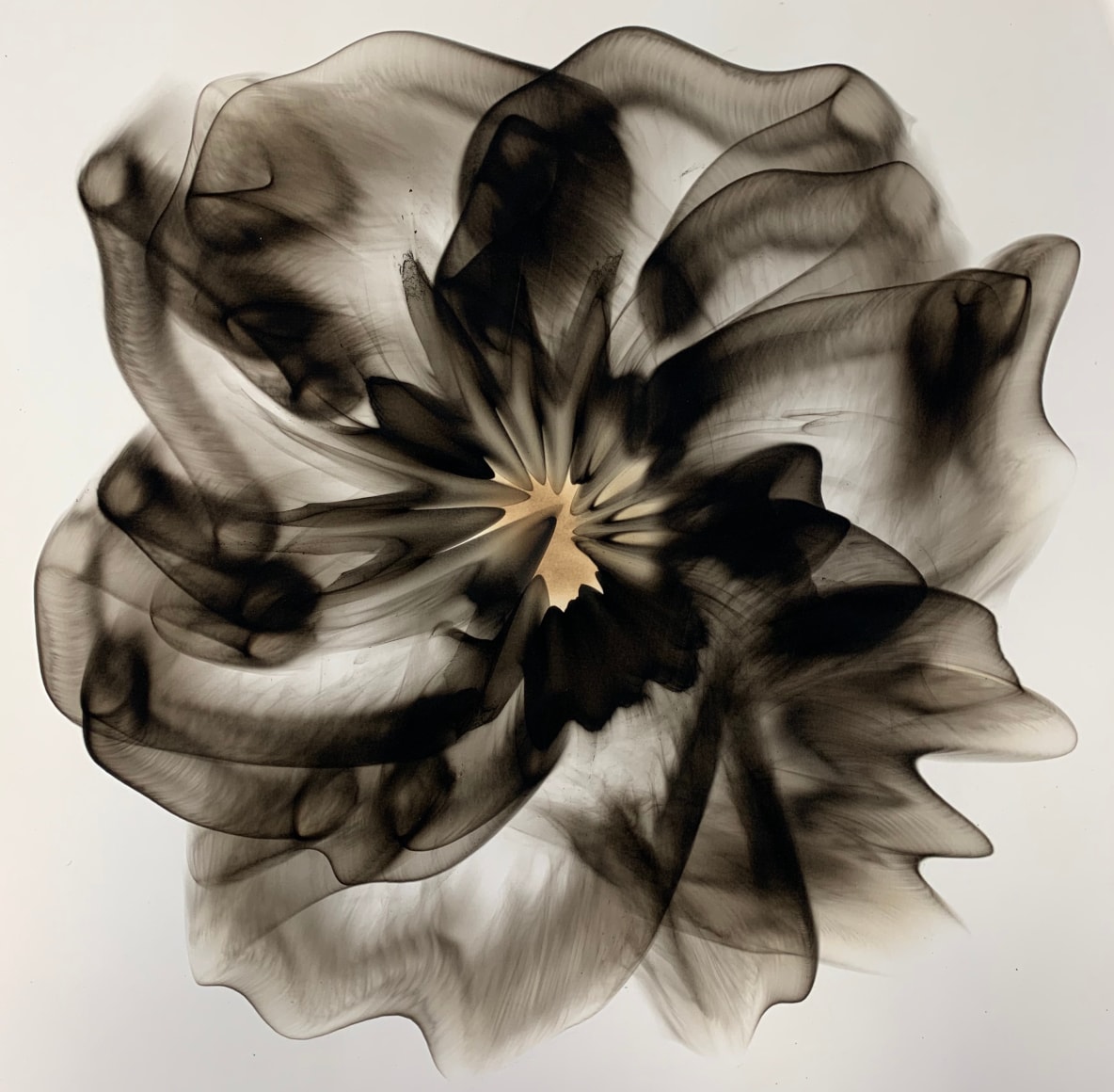 Mitchell-Dennis_smoke on paper_25.5x25.5 inches