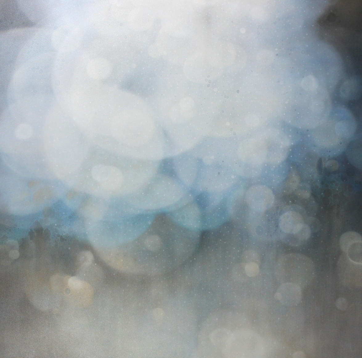 SHIFFLET-Jenn_Transparency_48x48_8300