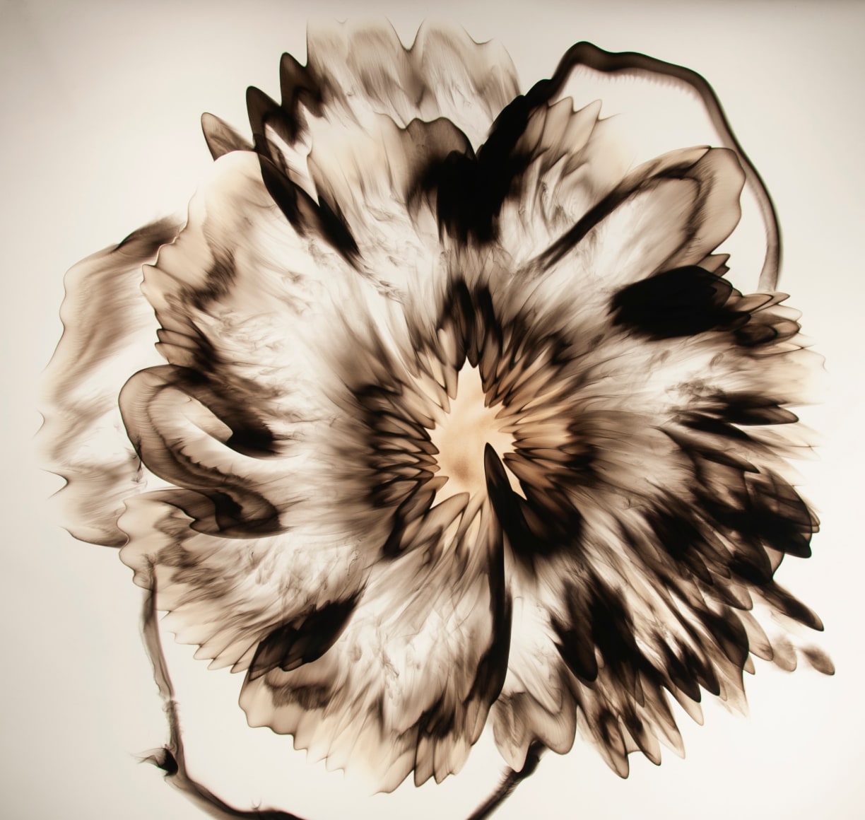 Mitchell-Dennis_Untitled (36.3)_Smoke on Paper_53x53_2019