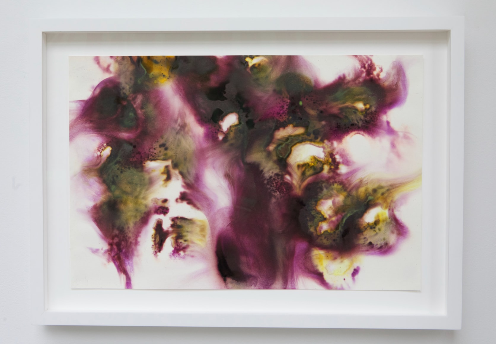 Dennis Lee Mitchell_Trees_Colored smoke on paper_15x19_s