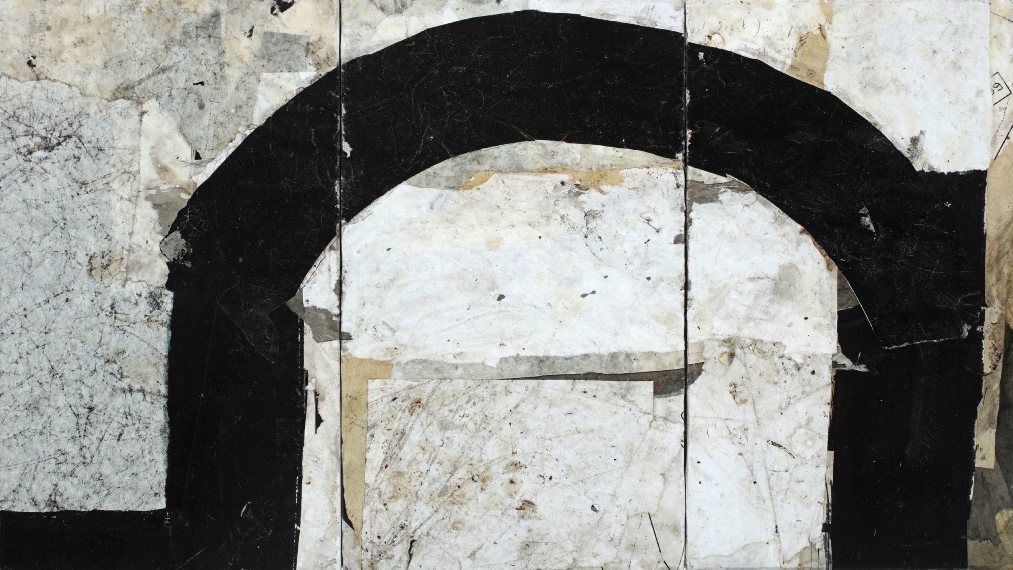 Darwin's Tree 68  12x21  2019