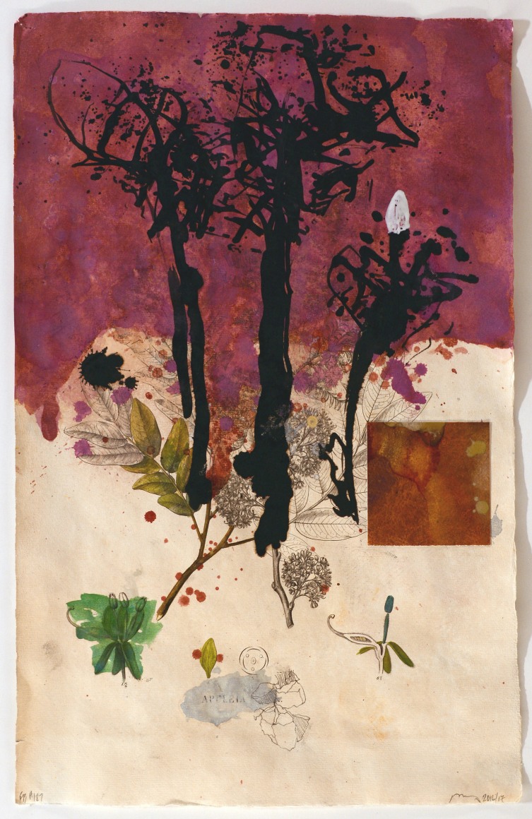 NUGENT-Bob_Flora Brasiliensis #187_19.25x12