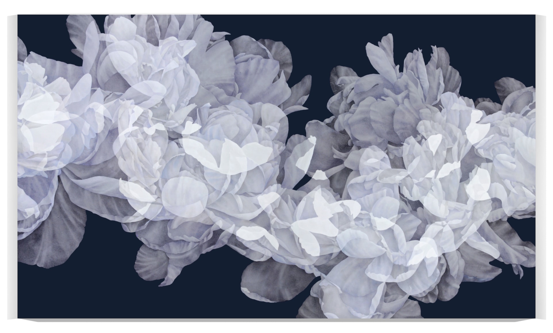MURR-Greg_Transitory, 2018 AC_40x68_Featured_s