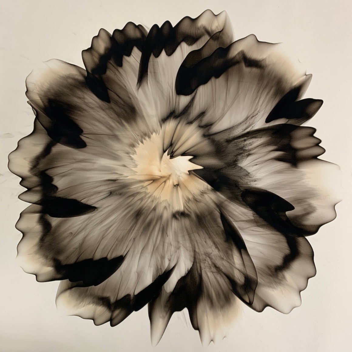 Mitchell-Dennis_smoke on paper_27x27 inches