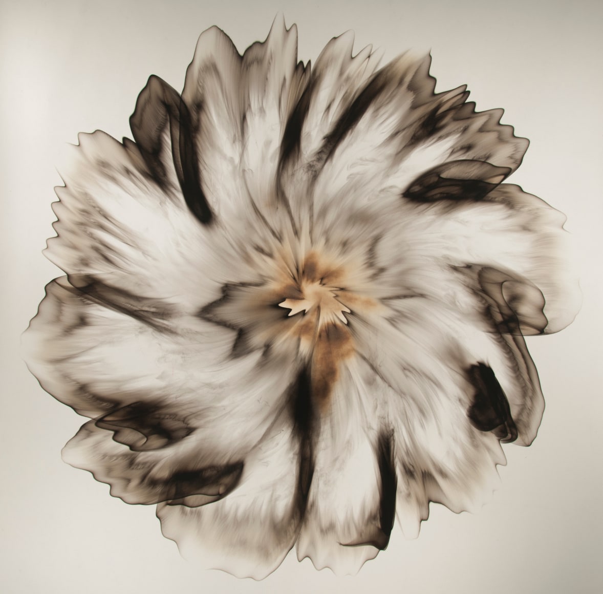 Mitchell-Dennis_Untitled(33.1)_Smoke on Paper_48.5x48.5_2019