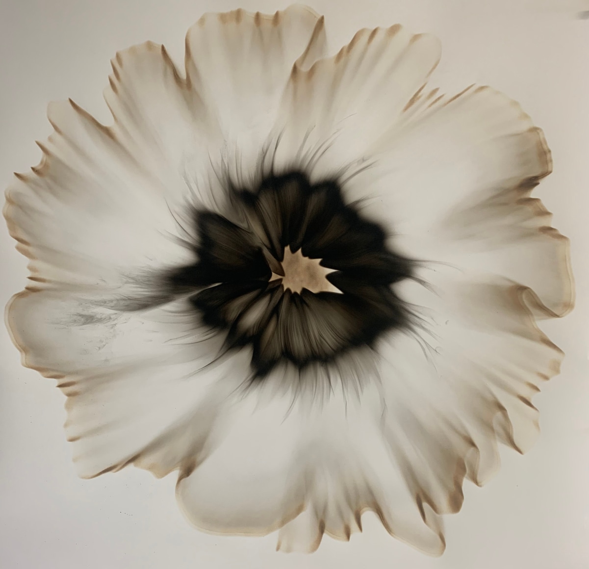 MITCHELL-Dennis-Lee_Smoke-on-Paper-6_35x35__Featured