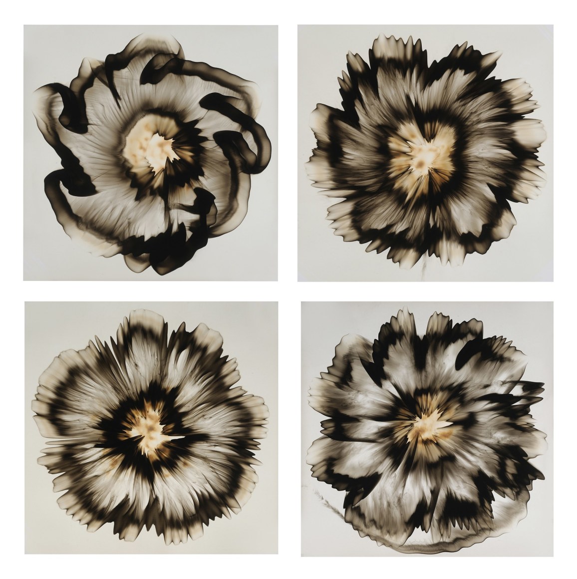 Mitchell-Dennis_Westwater Series_Smoke on Paper_Each35.5x35.5,2019