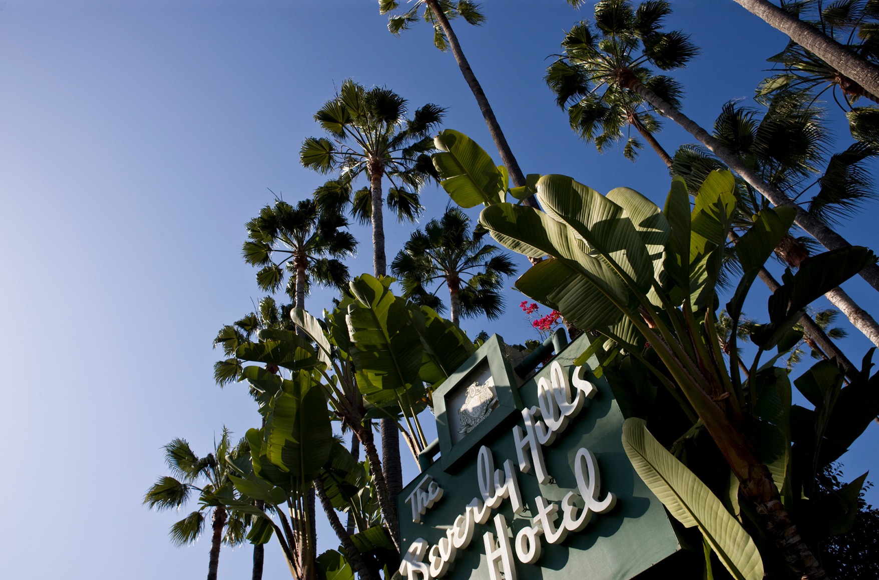 4_PAXTON_Torrey-Pines-Bank-BH_13_s