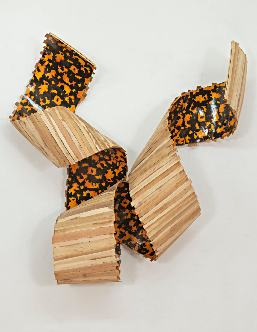 ROSE-John_Endangered_54x50x16