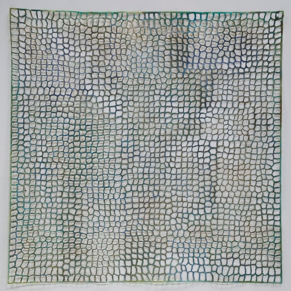 McCAFFERTY-Jay_Coalesce_48x48_s