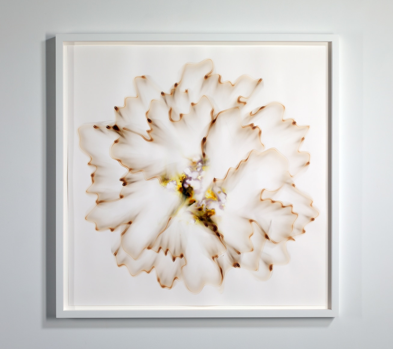 Dennis Lee Mitchell_Diffuse_36x36_s