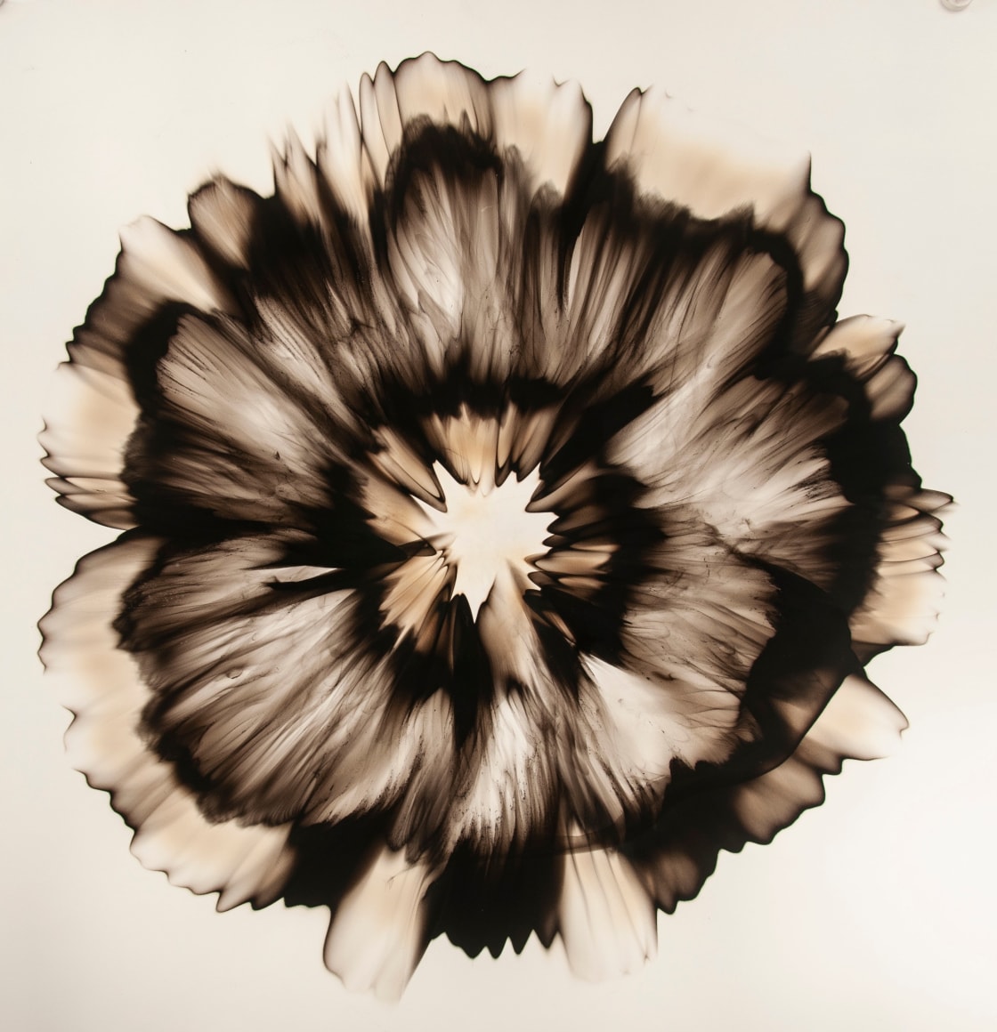 Mitchell-Dennis_Untitled(46.8)_Smoke on Paper_39x39,2020