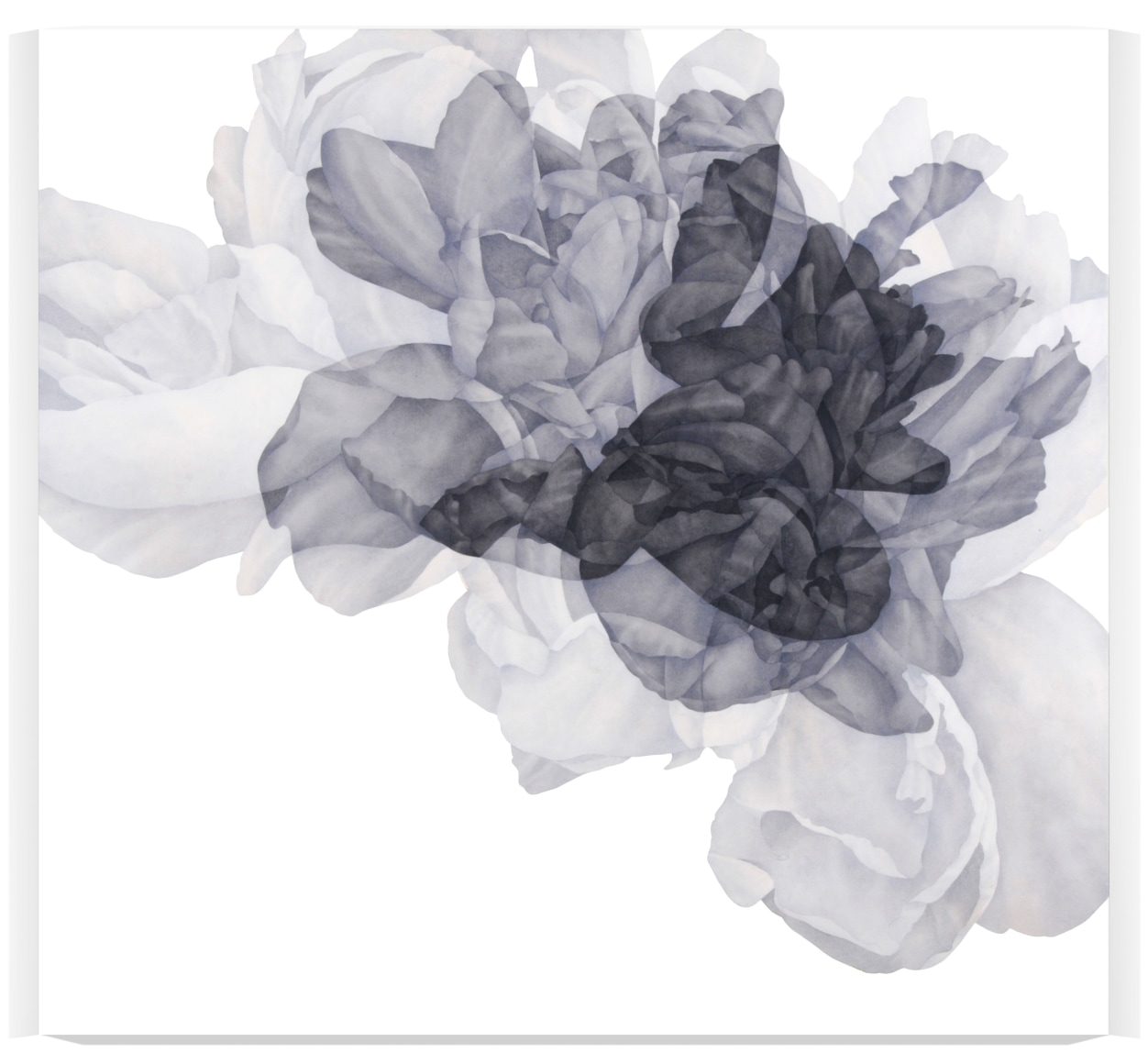 MURR-Greg_Nascence [study 455], 2017 acrylic on panel 30x32_Featured