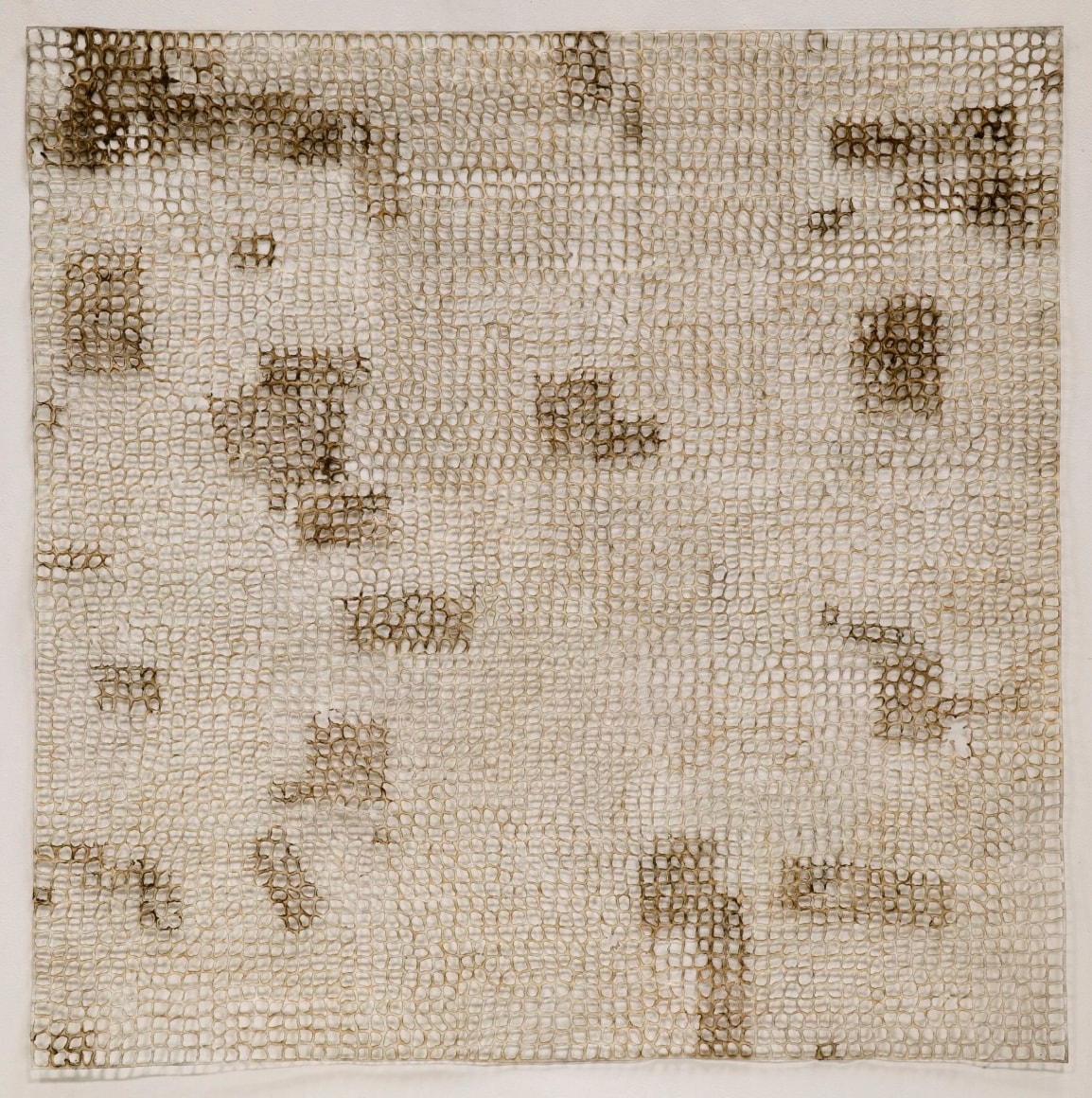 McCAFFERTY-Jay_Natural Polarities #1_36x36_s