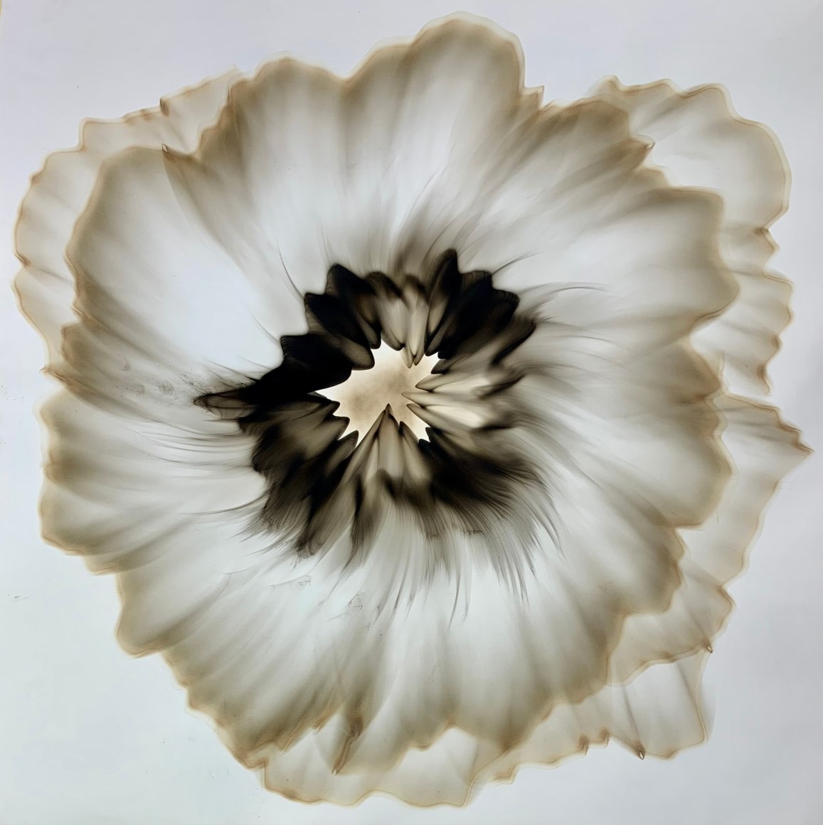 MITCHELL-Dennis-Lee_33-5x33-5