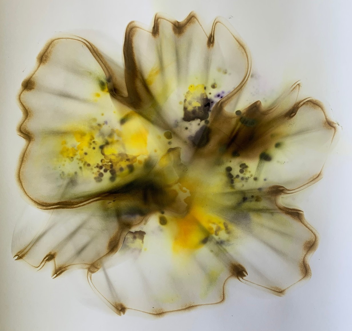 Dennis Lee Mitchell_Untitled_Smoke & Colored Smoke on Paper_18x18_(2)