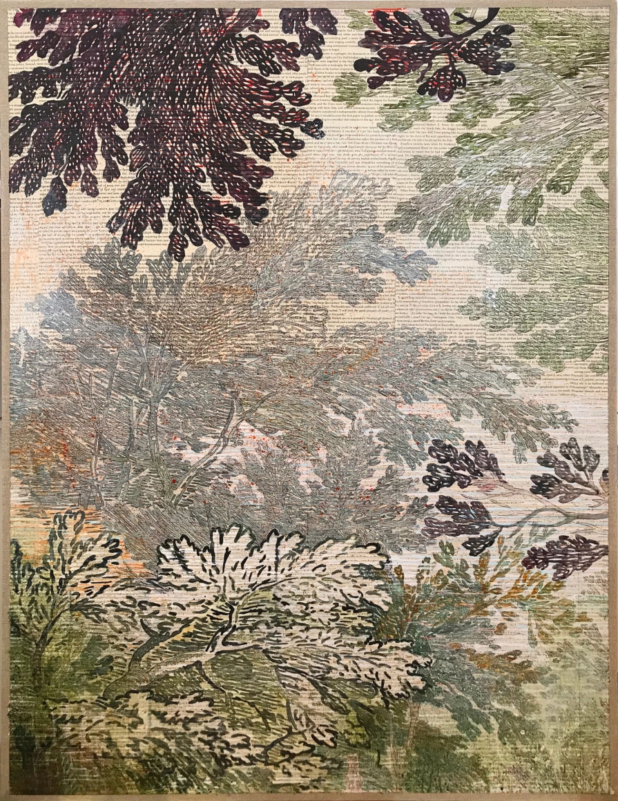 The+Trust+Trees,+2019