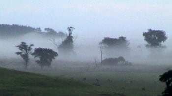 Jodie Vicenta Jacobson, The Vale, 2006, 60 min. DVD, Signed, titled, dated and editioned on limited edition DVD Case, Edition of 5