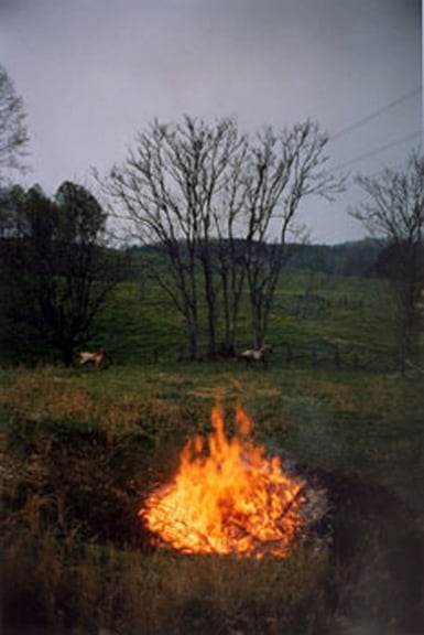 Chinquapin, TN, 1989 Ektacolor print 20 x 24 inches