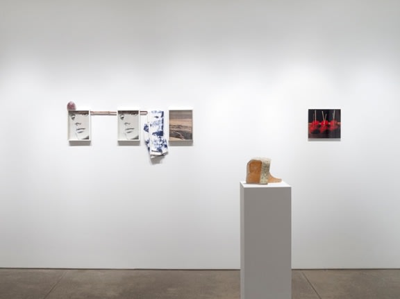 Desire Installation View 