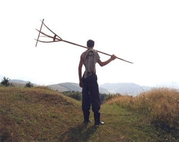 Clare Richardson, Sylvan, Untitled XX, 2002, 24 x 30 inch Chromogenic print, Signed, titled, dated and editioned on verso, Edition of 9