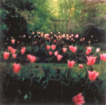 Crathes Castle Garden, near Aberdeen, Scotland, 1994