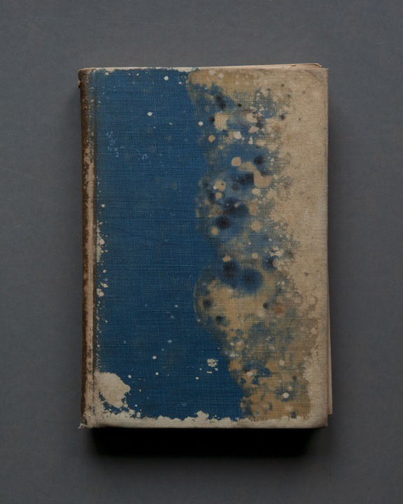 Mary Ellen Bartley,&nbsp;Book of Knowledge, 2017, from the series Reading Grey Gardens. Archival pigment print, 18 3/4 x 15inches.