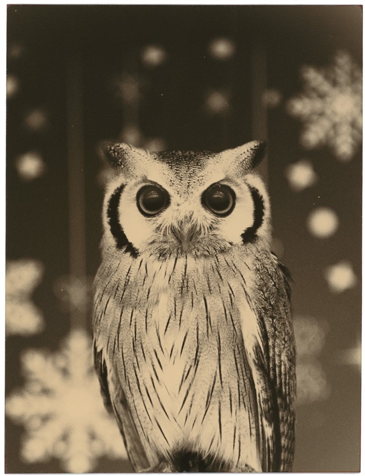 Yamamoto Masao,&nbsp;Untitled #1654, 2016,&nbsp;from the series&nbsp;Kawa=Flow. Gelatin silver print,&nbsp;8 x 7 1/2 inches.