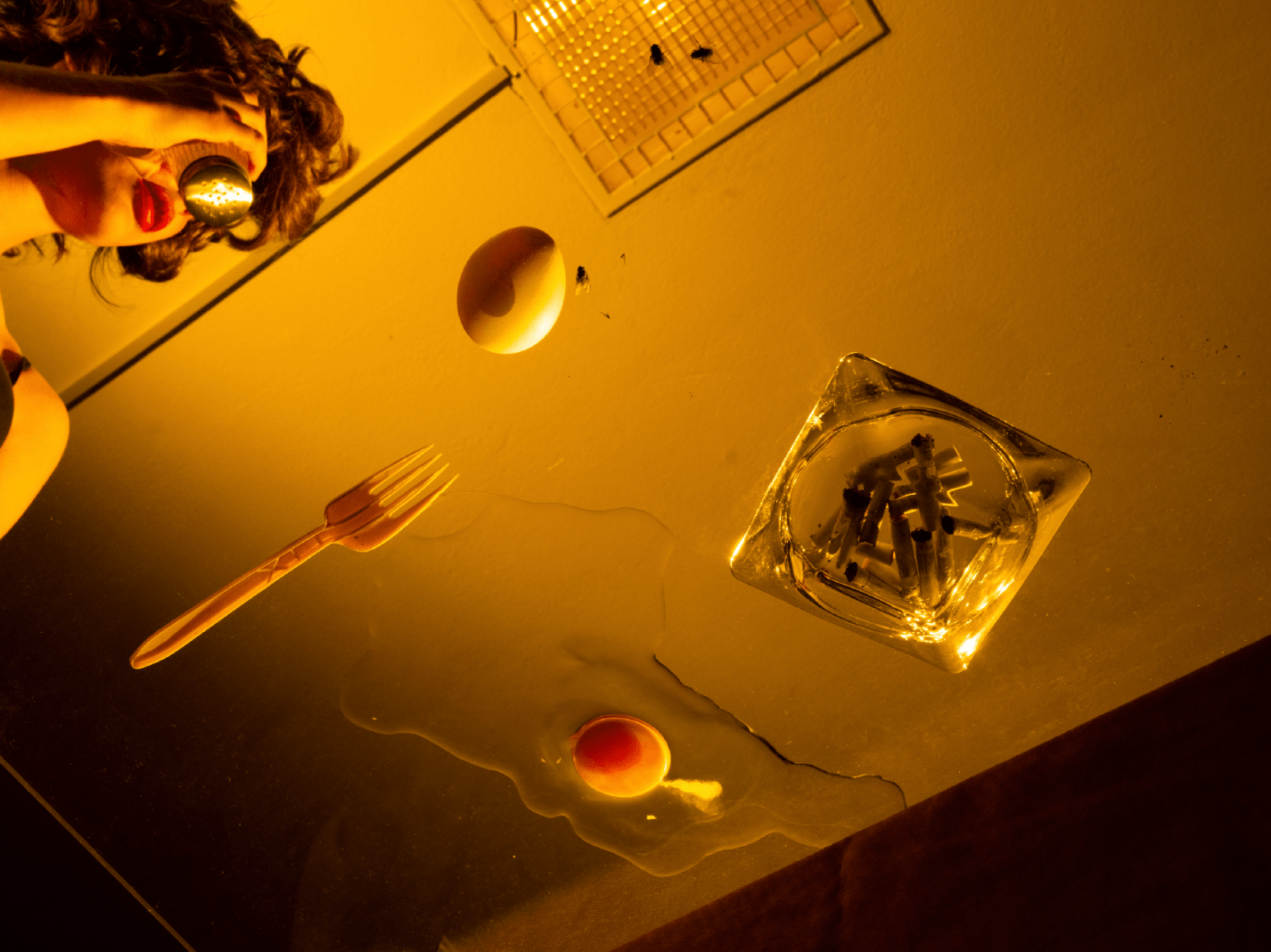 Tania Franco Klein, Eggs, Fork, and Flies (Self-portrait), 2022, from the series Break in Case of Emergency.&nbsp;Archival pigment print.