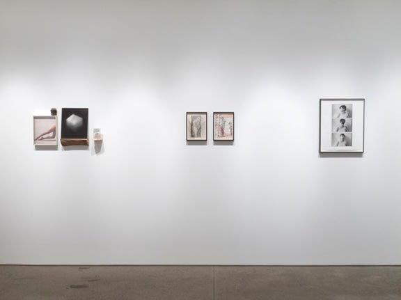 Desire Installation View 