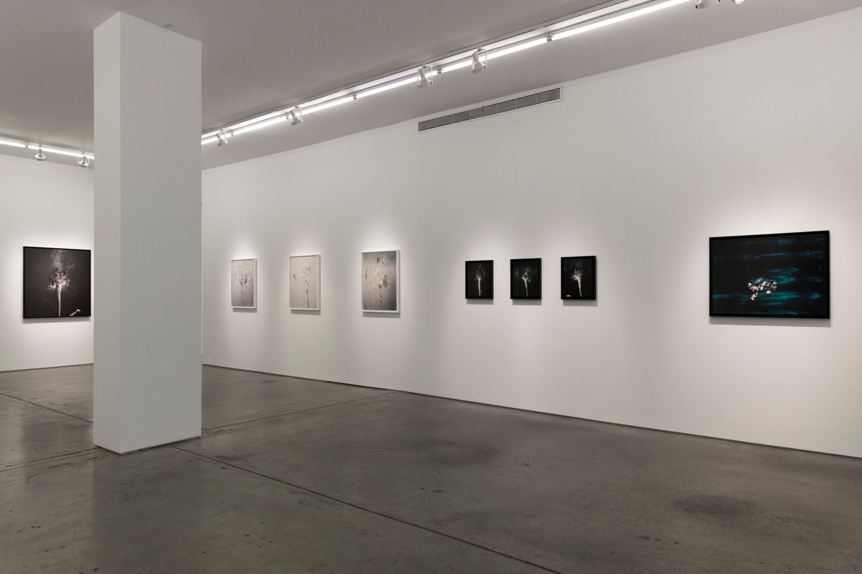 Installation image of&nbsp;Fragile Land.